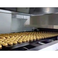 食品全自動烘焙生產線